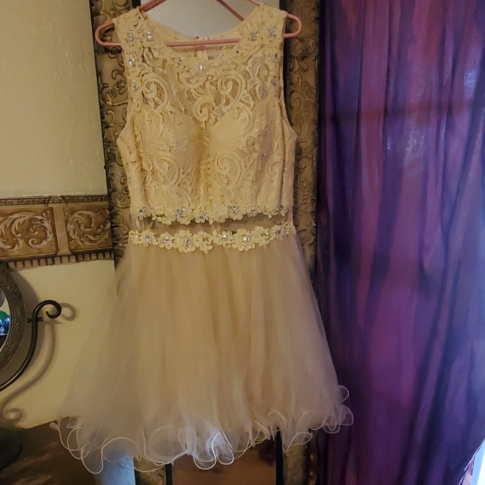 Lace & Tulle Formal/Prom Dress